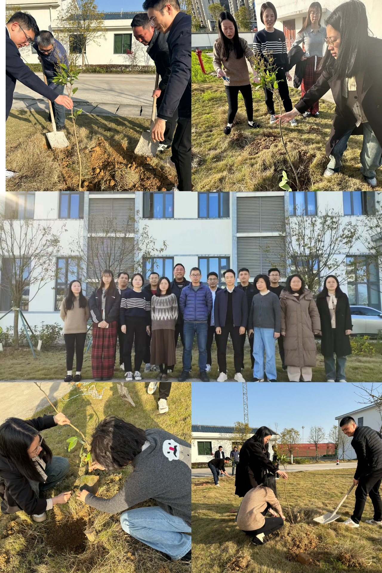 2024-3-12綠色陸港，美麗寧德，阮克妙拍攝.jpg
